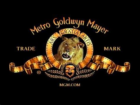 Metro Goldwyn Mayer Studios (2008) | littlefunstore