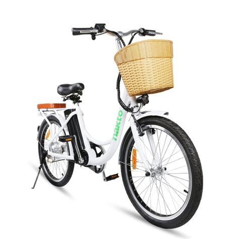 22+ Electric Bike Manual Pdf - MarianneNola