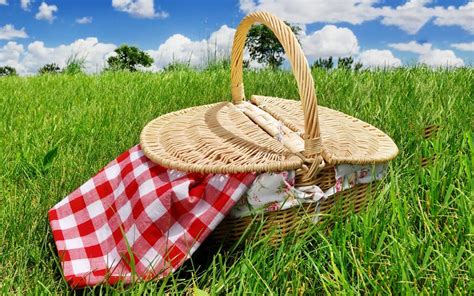 What to Pack in Your Picnic Basket