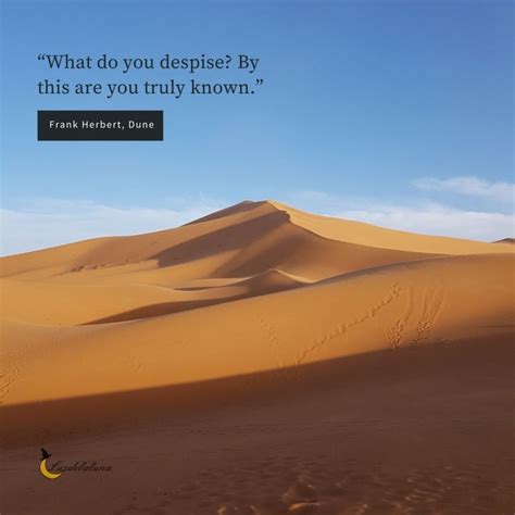 100 Best Dune Quotes To Not Forget | Luzdelaluna Quotes