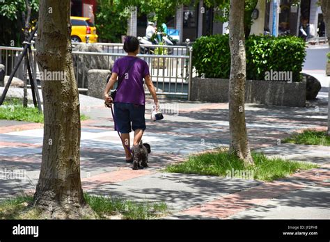 Old lady walking dog hi-res stock photography and images - Alamy