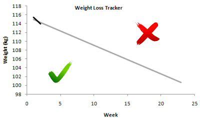 weight loss tracker | Here's week 1 of my weight loss tracke… | Flickr