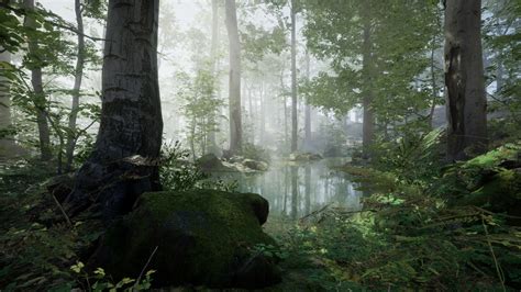 Forest - Environment Set in Environments - UE Marketplace