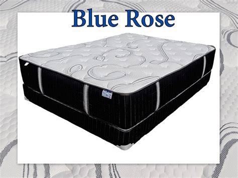 Mattress Collection - M & R MATTRESS