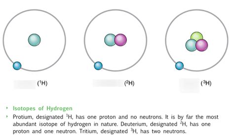 isotopes of hydrogen Diagram | Quizlet