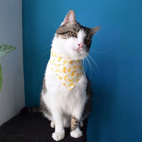 Banana Cat Bandana Fruit Cat Bib Small Dog Snap on Bandana - Etsy