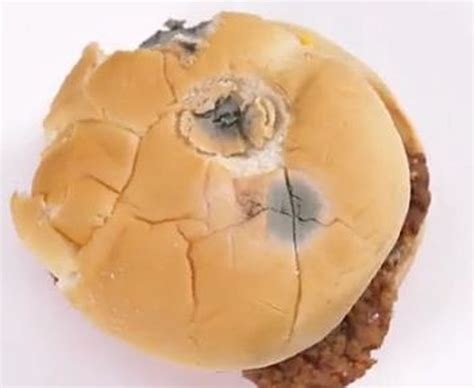 Check Out How Long It Takes Seven Restaurant Burgers to Get Moldy [VIDEO]