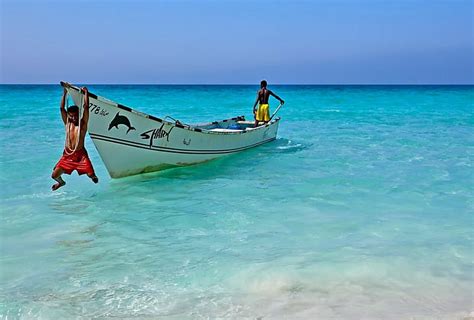 free download | Socotra Island, Yemen, having fun, Kids, Scenery, Beaches, Fun, Yemen, Socotra ...