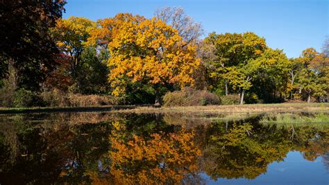 Cooler weather forecast for Michigan, making it feel more like fall