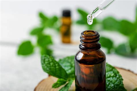 9 Peppermint Essential Oil Benefits for Skin, Digestion, and Beyond – Primal Life Organic II LLC