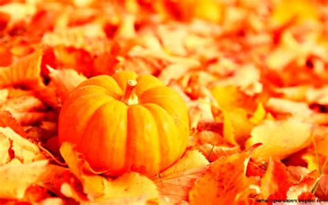 Fall Leaves And Pumpkin Wallpaper | Amazing Wallpapers