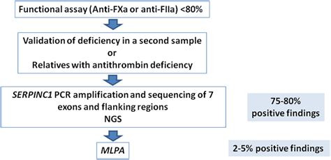 The genetics of antithrombin - Thrombosis Research