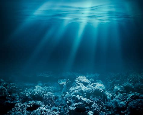 Deep sea life may disappear before we even understand it - Earth.com