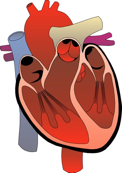 Grand Rounds Summary 01.11.2017 — Taming the SRU