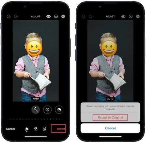 How to Cover Faces in Photos with Emoji on iPhone