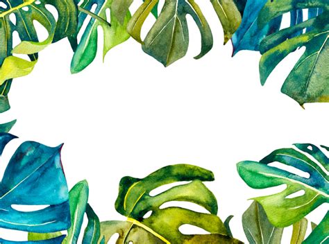 Tropical plants by Antonina on Dribbble