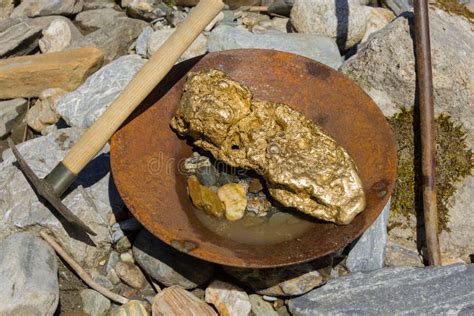 Gold Nugget Mining from the River Stock Photo - Image of alaska ...