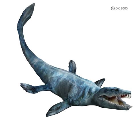 Mosasaurus Pictures & Facts - The Dinosaur Database