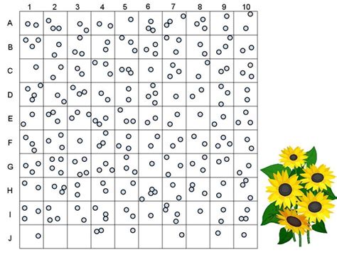 😀 Quadrat sampling report. Study of plant population density by quadrat ...