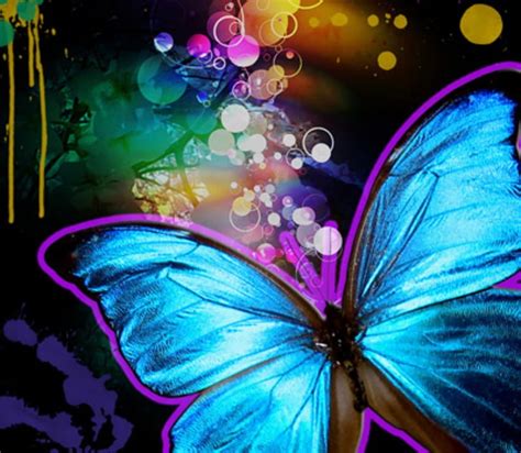 Splash of Color, blue, butterfly, rainbow, color HD wallpaper | Pxfuel