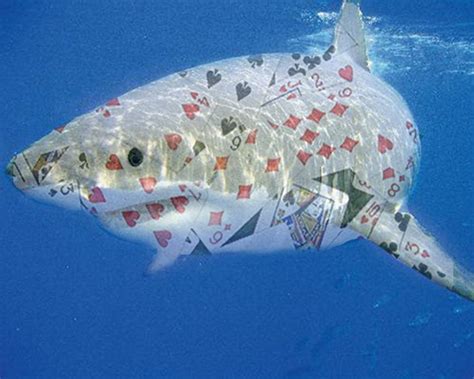 shark puns | Visual puns, Card sharks, Funny art