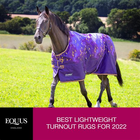 Best Lightweight Turnout Rugs