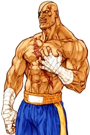 Sagat - Street Fighter Wiki - Neoseeker