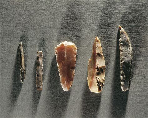 Prehistoric Stone Tools Categories and Terms