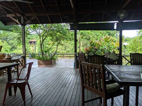 A review of the Sepilok Forest Edge Resort, Borneo - Chimptrips