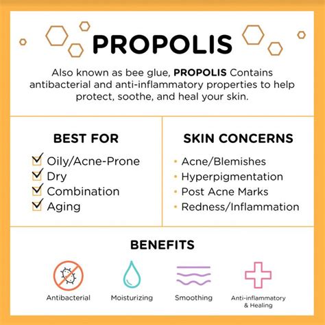 Propolis is a sticky substance formed by bees to protect their hive ...