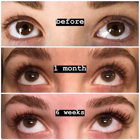 Lash + Brow Serum PRE-ORDER - ships in 1-2 weeks! (eyelash serum, essential oils, castor oil ...