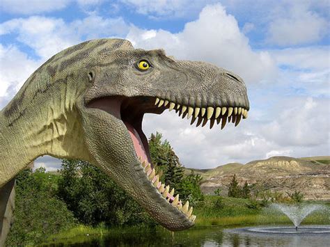 Dinosaur Information and Gallery