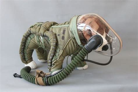 Dog Spaces, Space Dog, Alien Clothes, Mars Space, Astronaut Suit, Space Fashion, Vintage ...