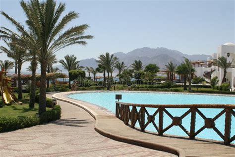 Pool view in a beach hotel stock photo. Image of landscape - 3578082