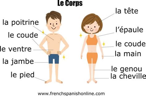 This week, learn the vocabulary of the BODY in French: http://goo.gl/8BFmcD. An expression: C ...