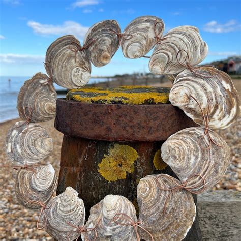 Oyster Shell Wreath - Etsy