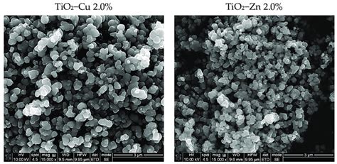 SEM micrographs of the as−prepared samples. | Download Scientific Diagram