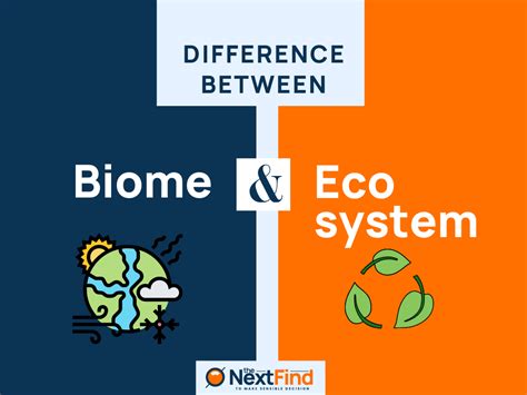 20+ Differences Between Biome And Ecosystem