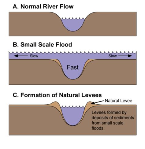 Natural Levee Diagram