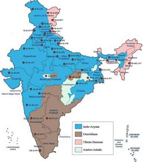 Map of India showing distribution of different ethnic populations in ...