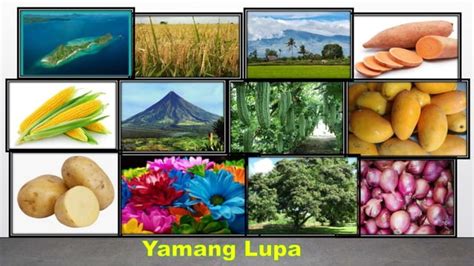 Mga Likas Na Yaman Sa Aking Komunidad | Images and Photos finder