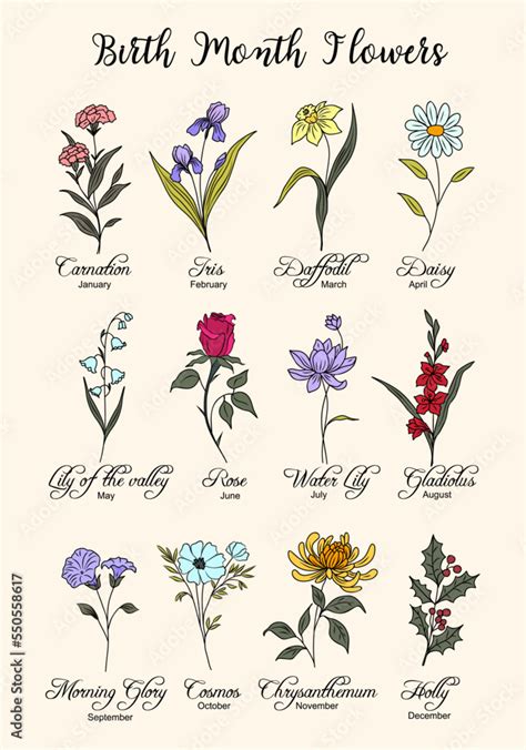 Set of Birth Month flowers colorful line art vector illustrations. Carnation, iris, daffodil ...