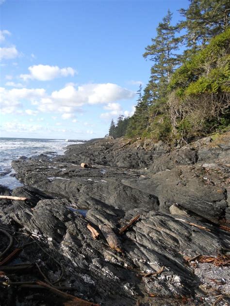 Botanical Beach Provincial Park (Port Renfrew) - All You Need To Know… | Renfrew, Trip advisor ...