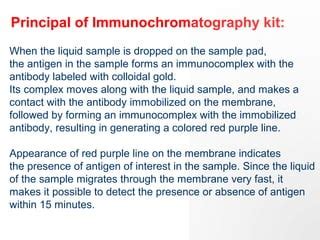 Immunochromatographic assays | PPT