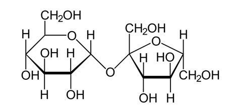 Sucrose intolerance - Wikipedia