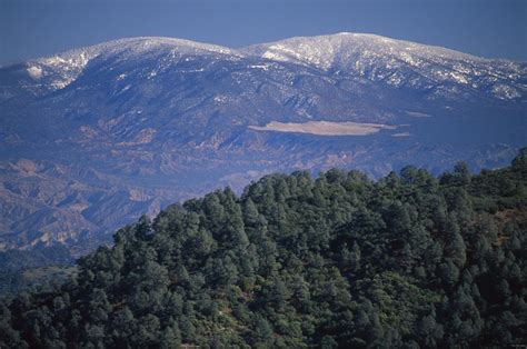 Mount Pinos And Mount Abel Photograph by Soli Deo Gloria Wilderness And Wildlife Photography ...