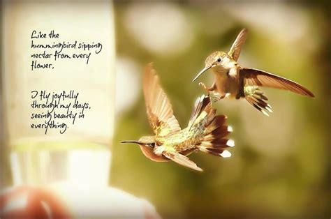 HUMMINGBIRD POEM | Hummingbird, Humingbird, Poems