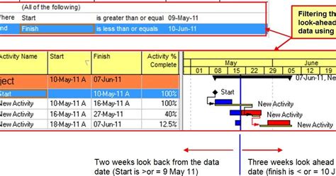 Toolbox4Planning: How to Work with Look-ahead Schedule Using P6