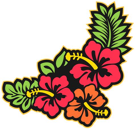 Hawaii flower 1190298 PNG