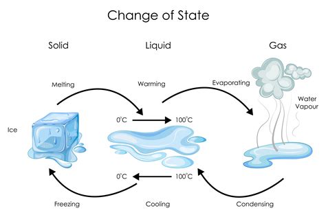 States Of Water Diagram